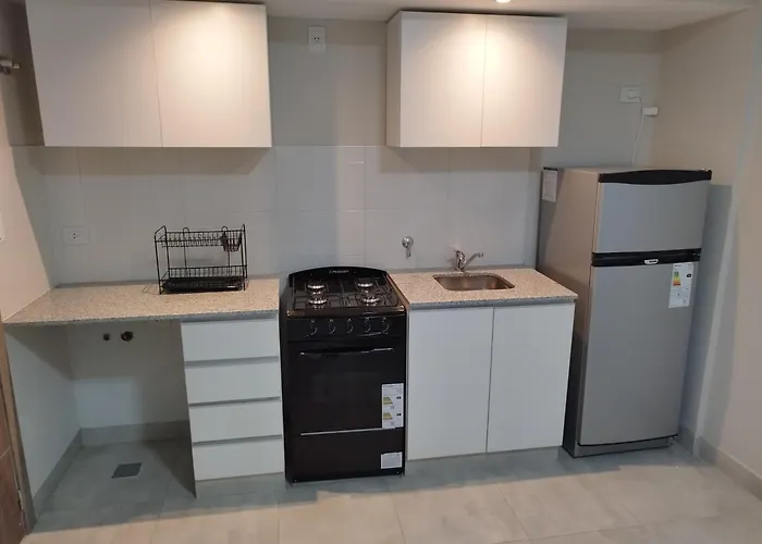 Departamento En Barrio Sur